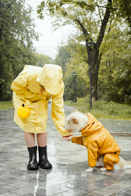 The Importance of Keeping Pets Dry