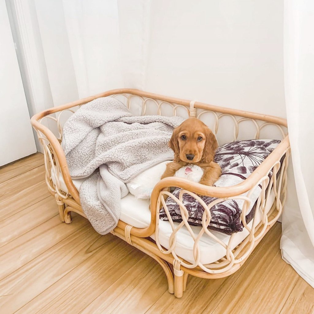 Chic Rattan Pet Oasis