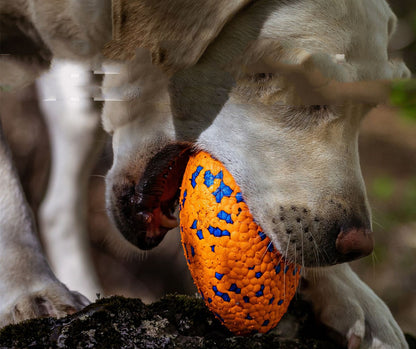 ChewChamp Teeth-Resistant Dog Football Toy - Happy Tails Shop