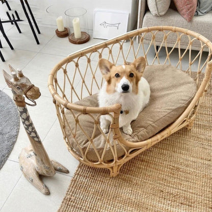 Chic Rattan Pet Oasis