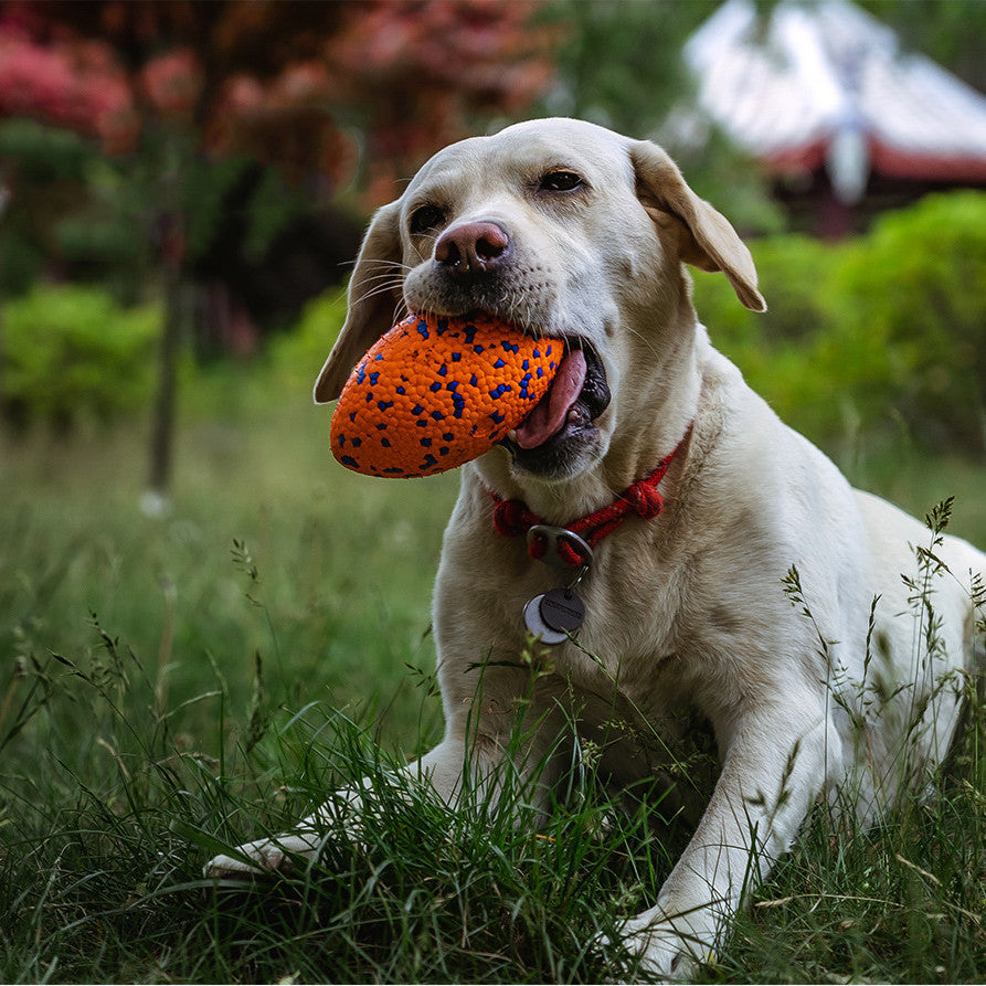 ChewChamp Teeth-Resistant Dog Football Toy - Happy Tails Shop