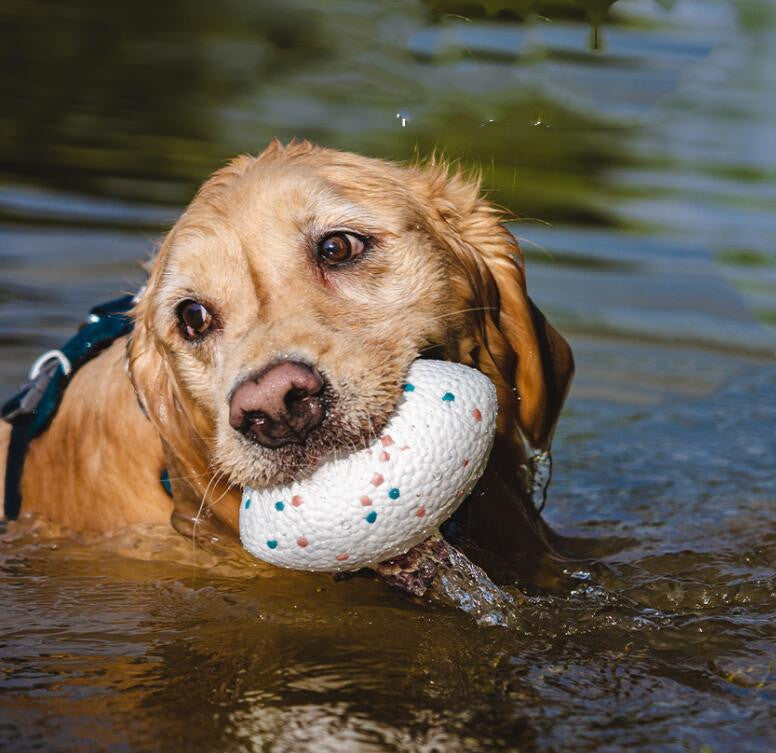 ChewChamp Teeth-Resistant Dog Football Toy - Happy Tails Shop